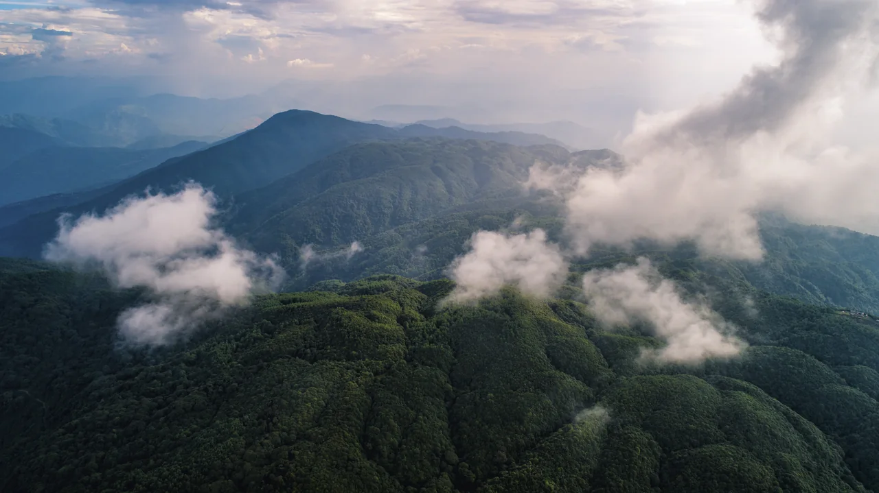 云雾中的苍翠群山